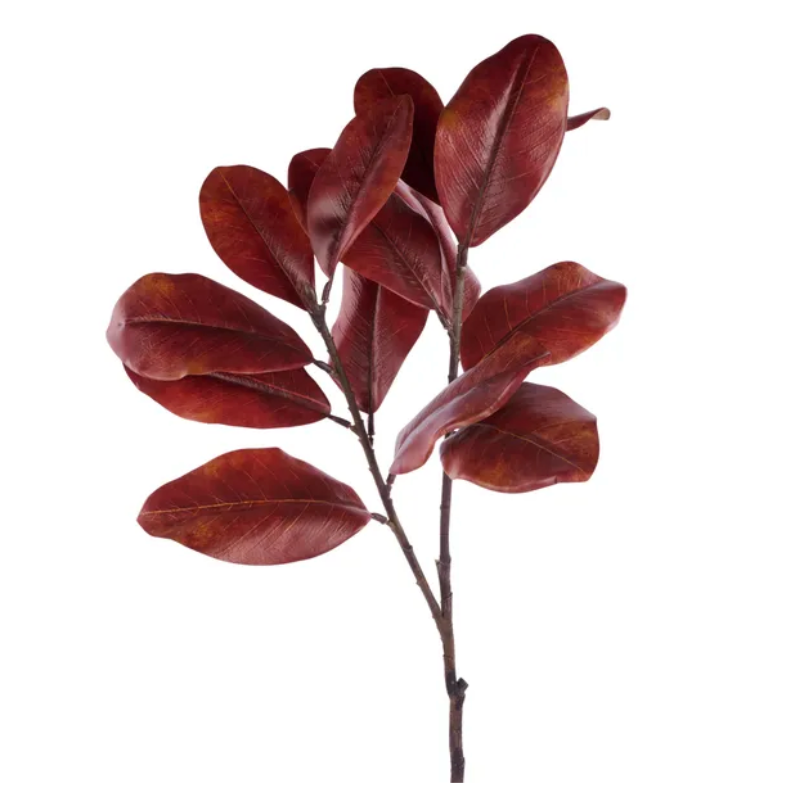 40"L Magnolia Spray X2 (Brown)