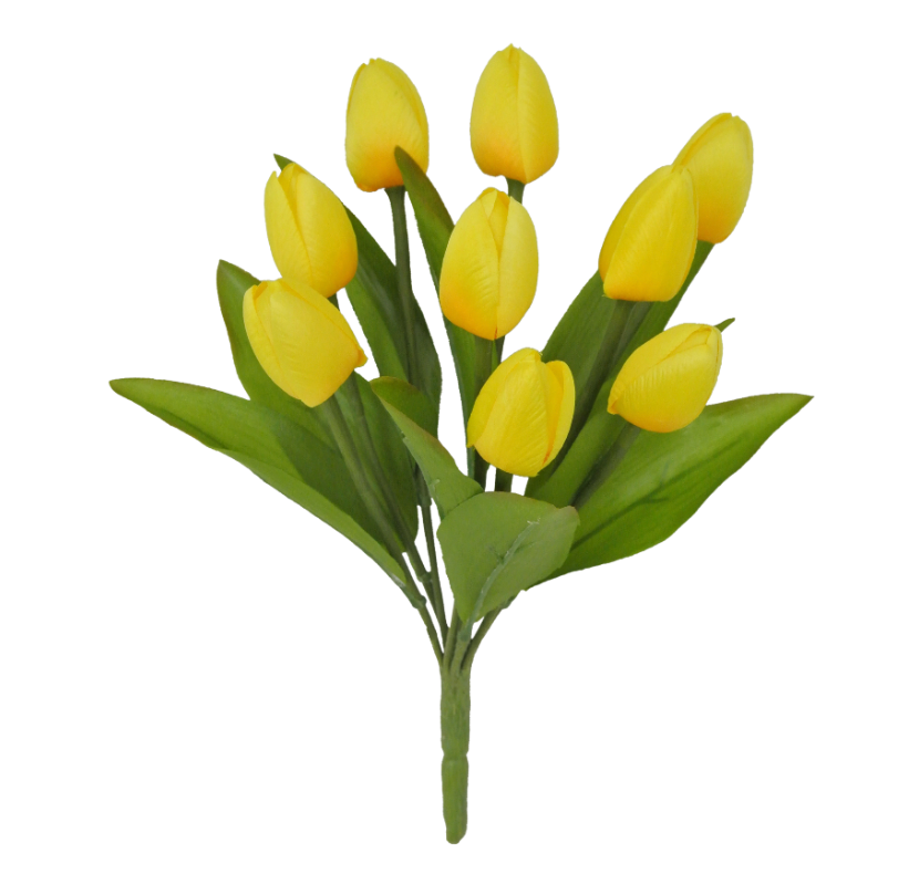 13" Tulip Bush X 9 (Yellow)
