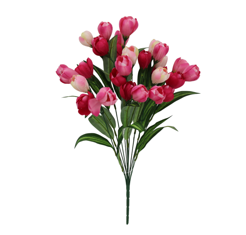 20" Tulip Bush X 12 (Pink/Beauty)