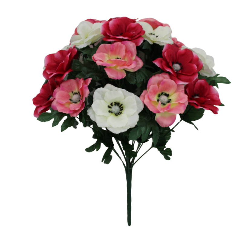 17" Anemone Bush X 18 (Cream/Beauty/Pink)