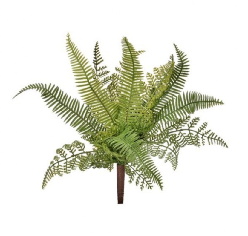 13" Nat Touch Mix Fern Plant
