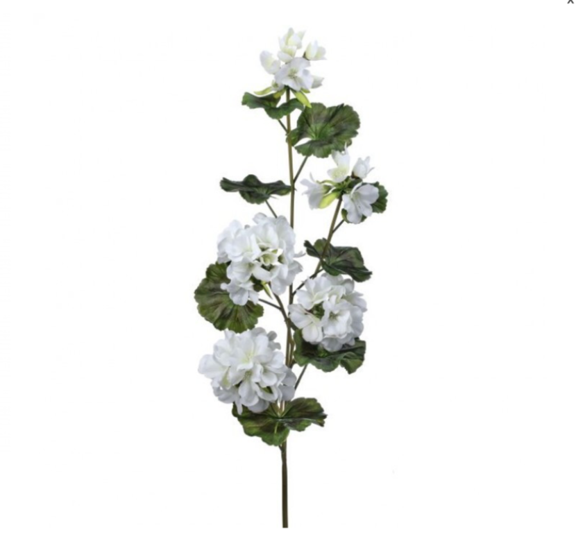 36" Uv Summer Trailing Geranium Spray X5 (White)