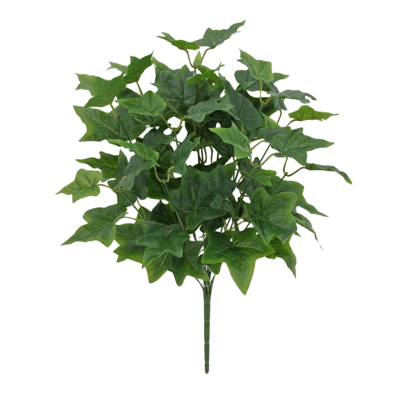 21" English Ivy Bush