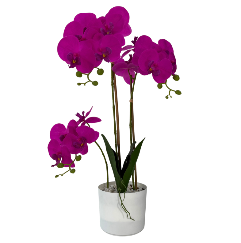 32" Orchid In Pot (Purple)