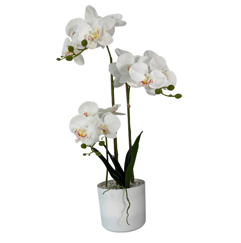 32" Orchid In Pot (White)
