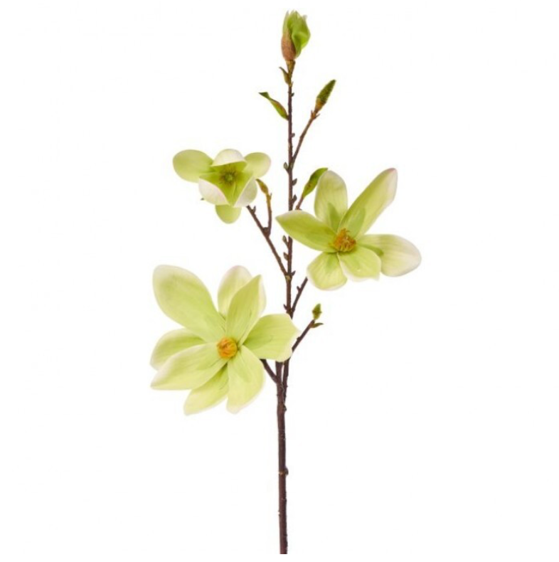 34" Eva Saucer Magnolia Spray (Light Green)