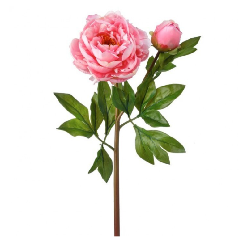 25" Just Cut Garden Peony & Bud (Pink)