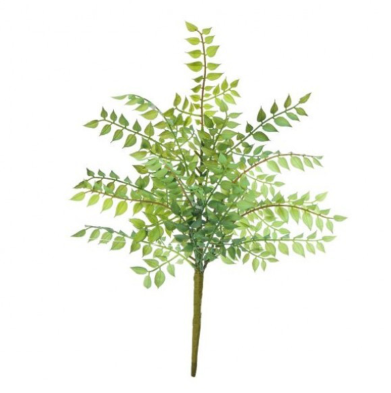 16" Italian Ruscus Pick