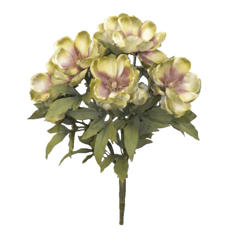 Magnolia Container Kit