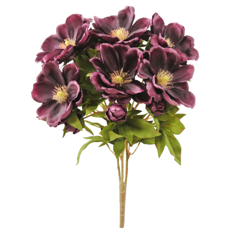 Magnolia Bush X 9 (Purple)