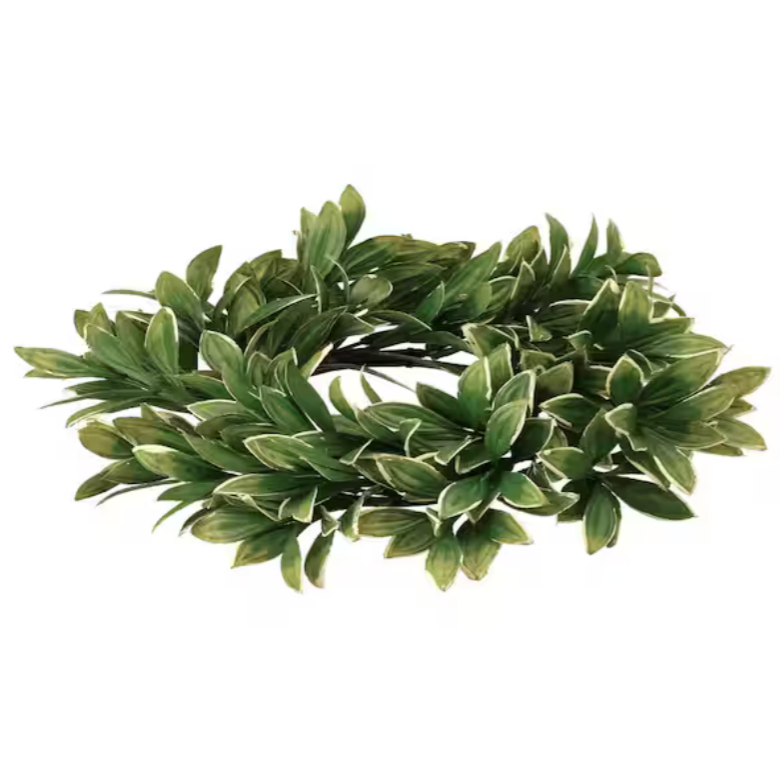 10" Variegated Boxwood Candle Ring