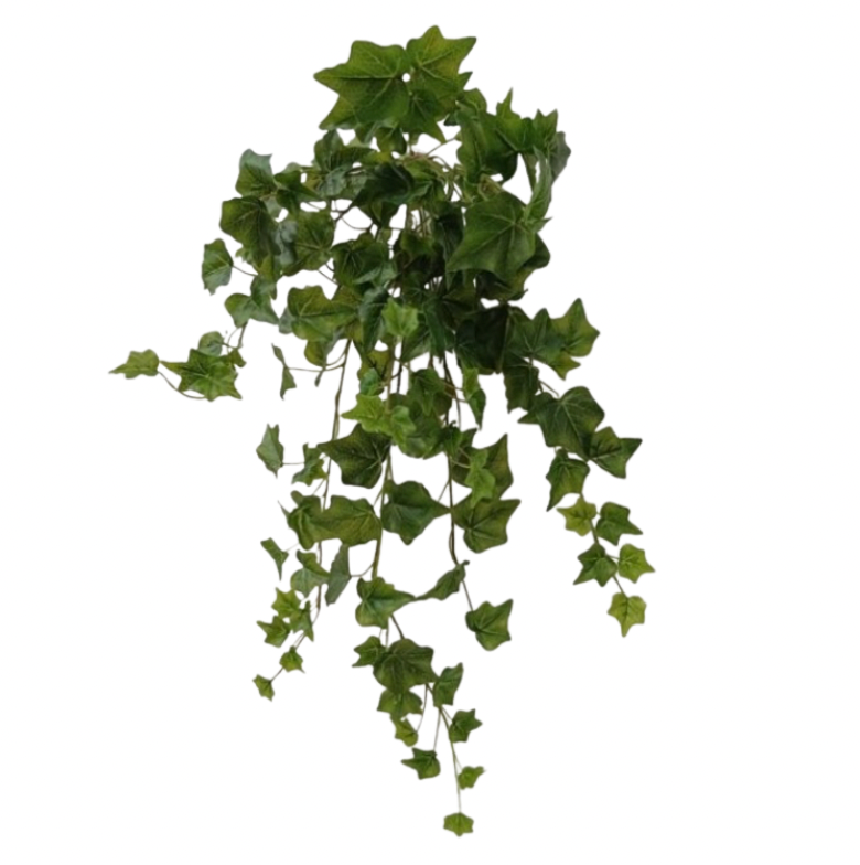 28" English Garden Ivy Hanging Bush