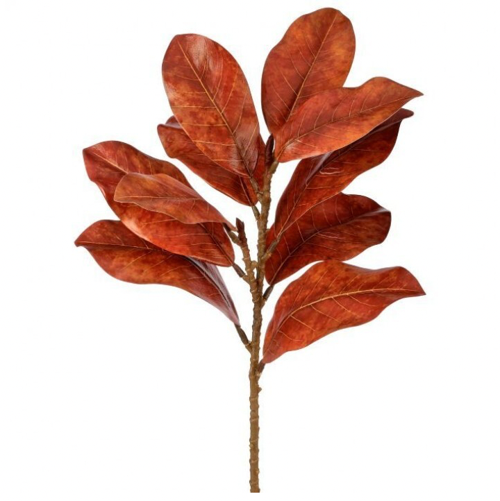 23" Autumnal Magnolia Spray (Cinnamon Spice)