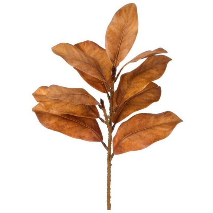 23" Autumnal Magnolia Spray (Toffee)