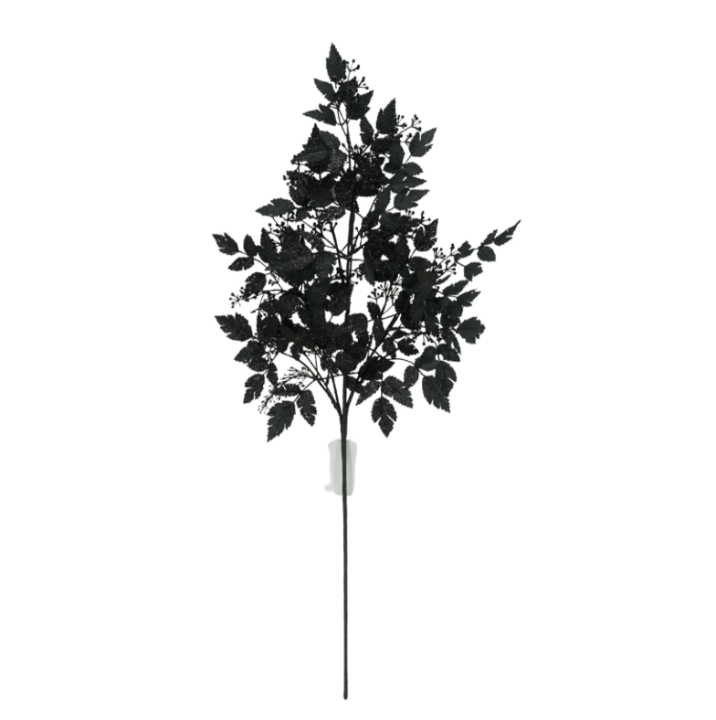 34" Black Cohosh Leaf