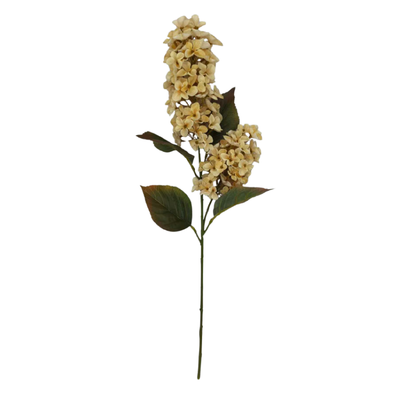 30" Lilac Spray X2 (Beige)