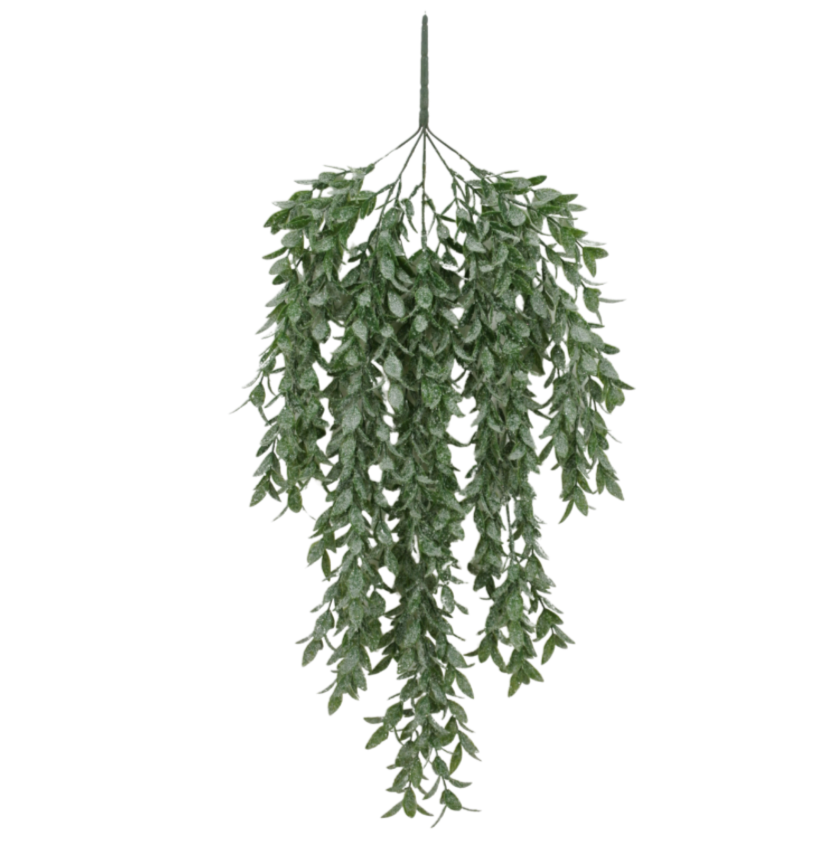 32" Ruscus W Iced Hanging