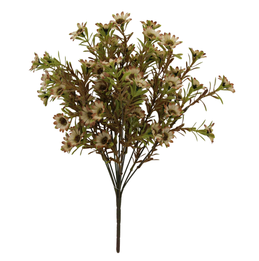 17" Daisy Bush X12 (Brown)