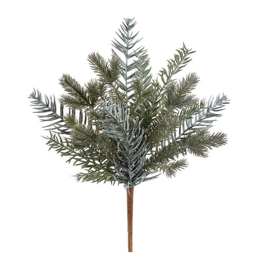 18" Mixed Spruce/Pine Bush