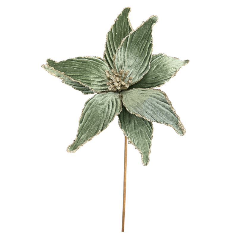 24" Velvet Poinsettia Stem (Sage)