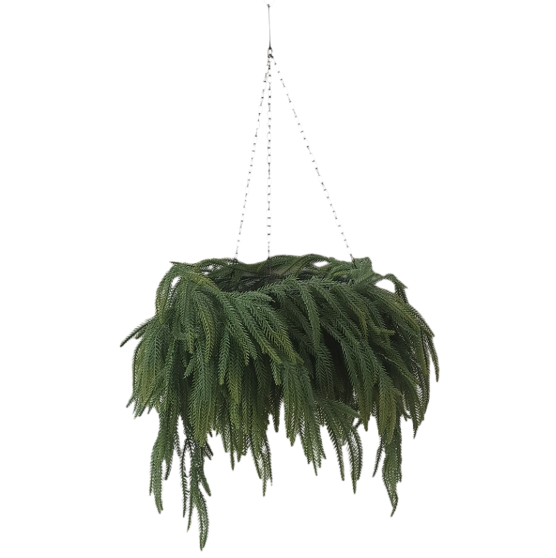 24" Norfolk Hanging Wreath