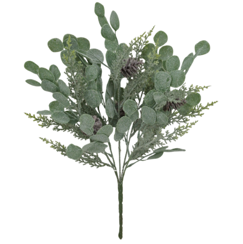 19" Eucalyptus Cedar