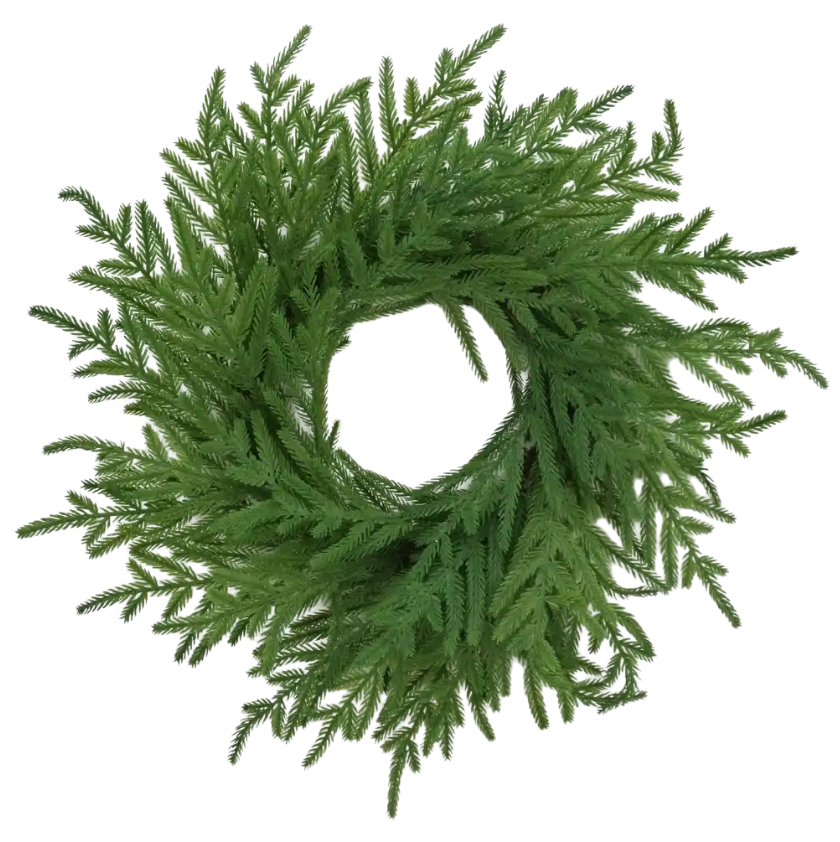 24" Real Touch Norfolk Wreath