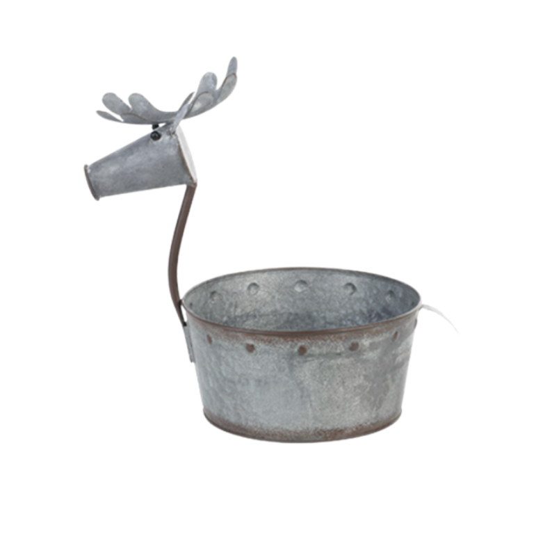 Pinecone Small Deer Planter Kit