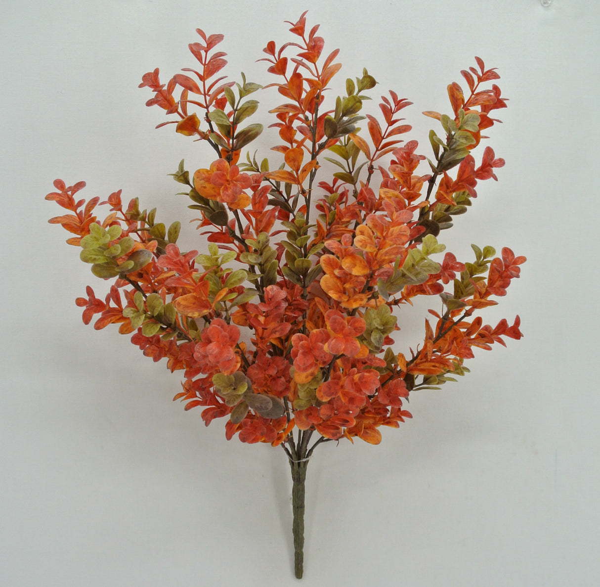 17.5" Boxwood Bush X9 (Orange)