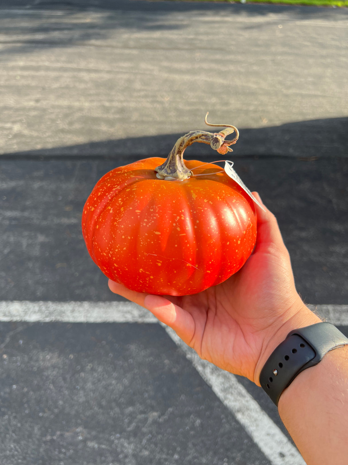 6.5"DIA X 3.5"H Pumpkin
