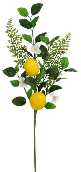 Farmers Market Gingham Lemon Wreath Kit
