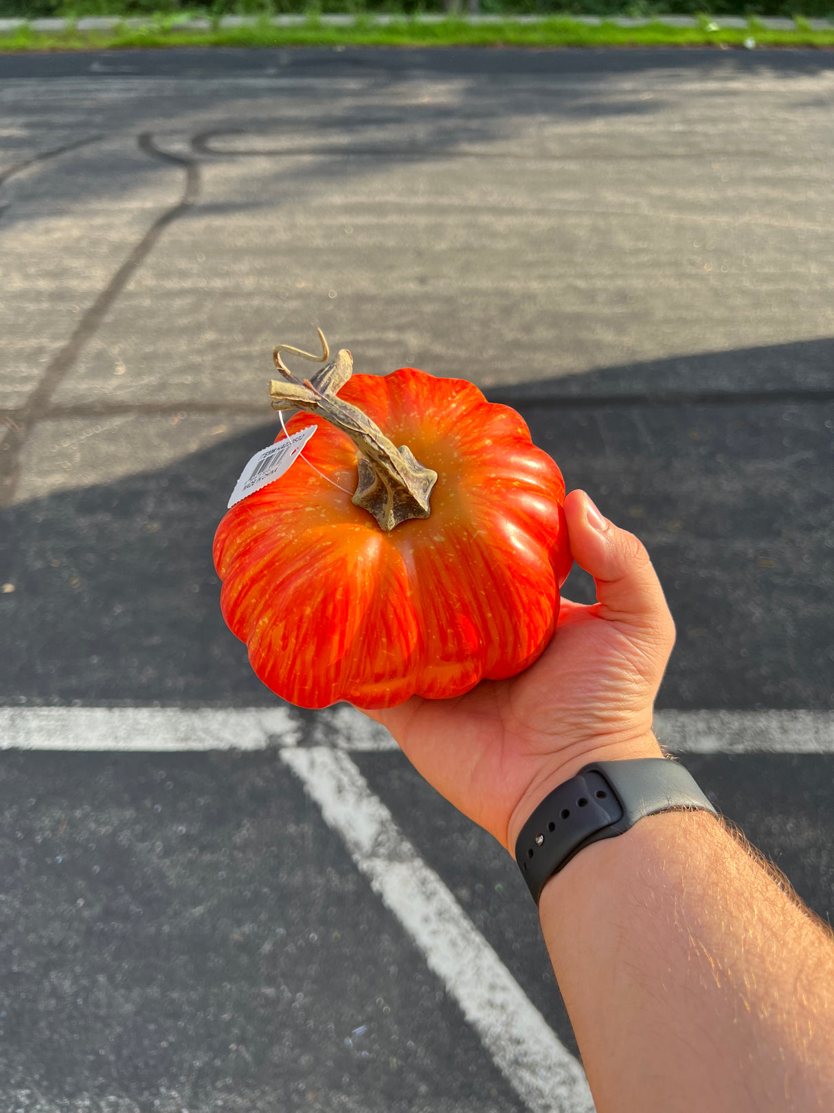 5" DIA X 3.5"H Pumpkin