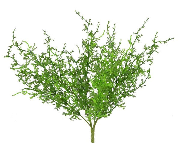 15"L Sweet Annie Fern Bush
