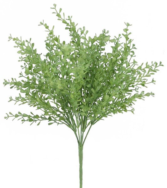 15"L Mini Boxwood Bush