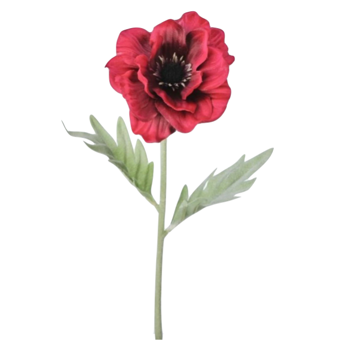 17" Anemone Stem