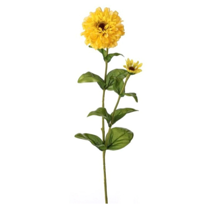 30" Garden Zinnia + Bud