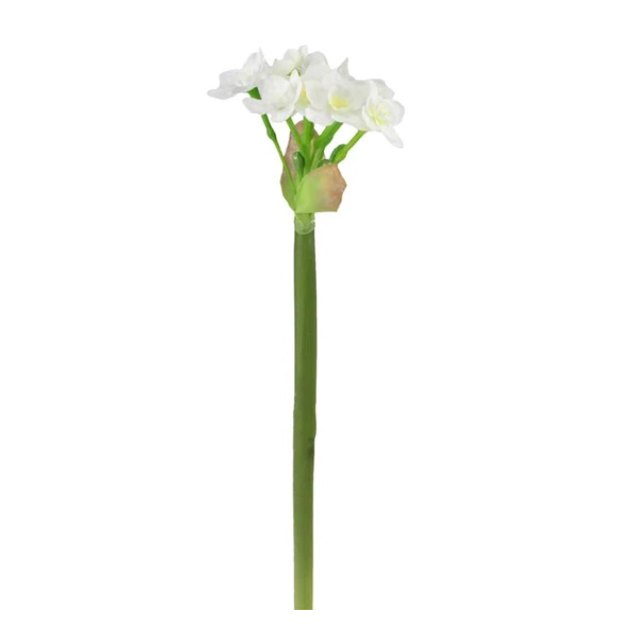 13"H Paper White Stem W/Flowers