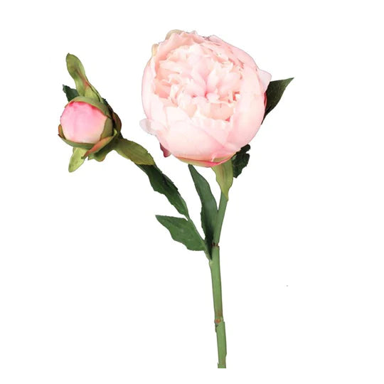Peony Wreath Kit