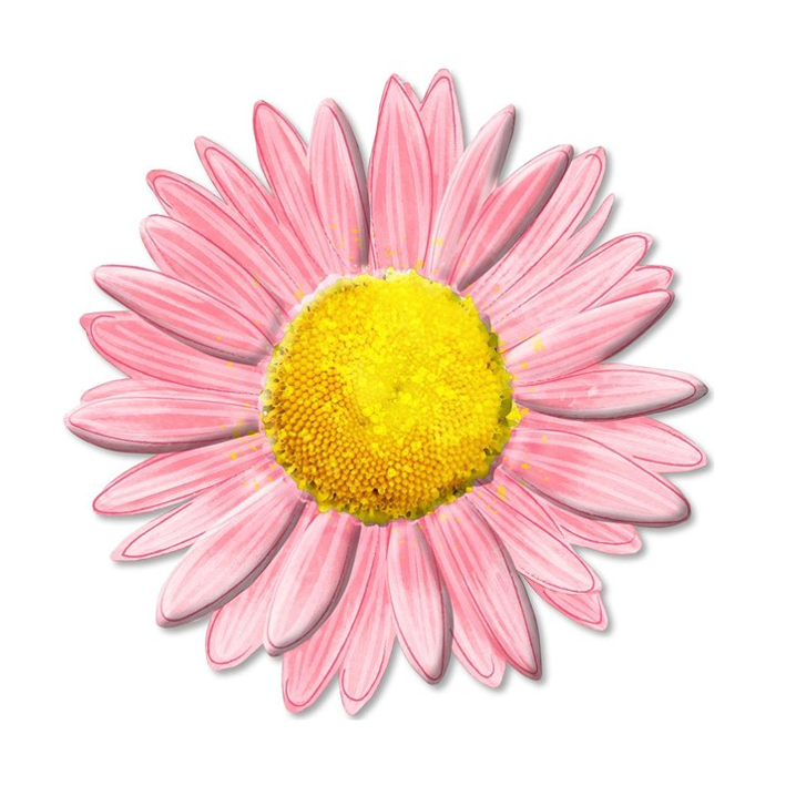 12"Dia Metal/Embossed Daisy