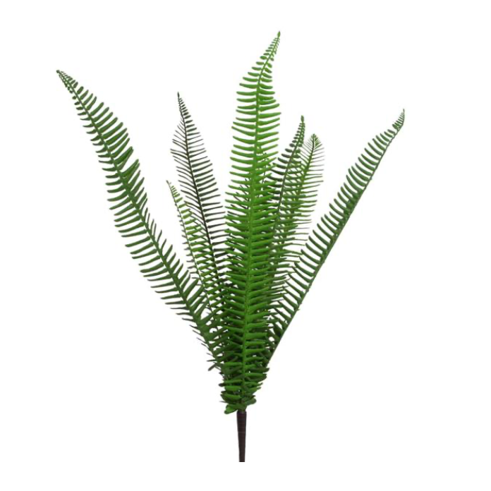 26"H Fern Bush