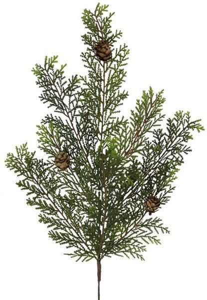23" Cedar Cone Spray
