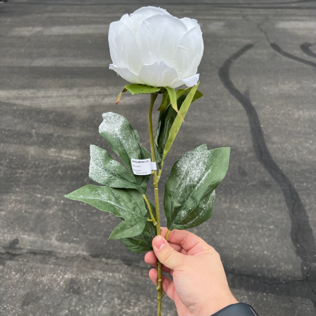 28.5In Peony W/Snow