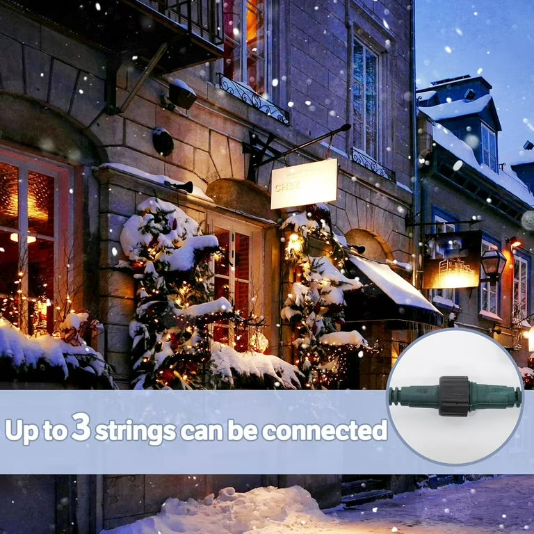 49FT 300LED 9mm Frosted Globe String Lights With Multi Function (Green Wire, Warm White)