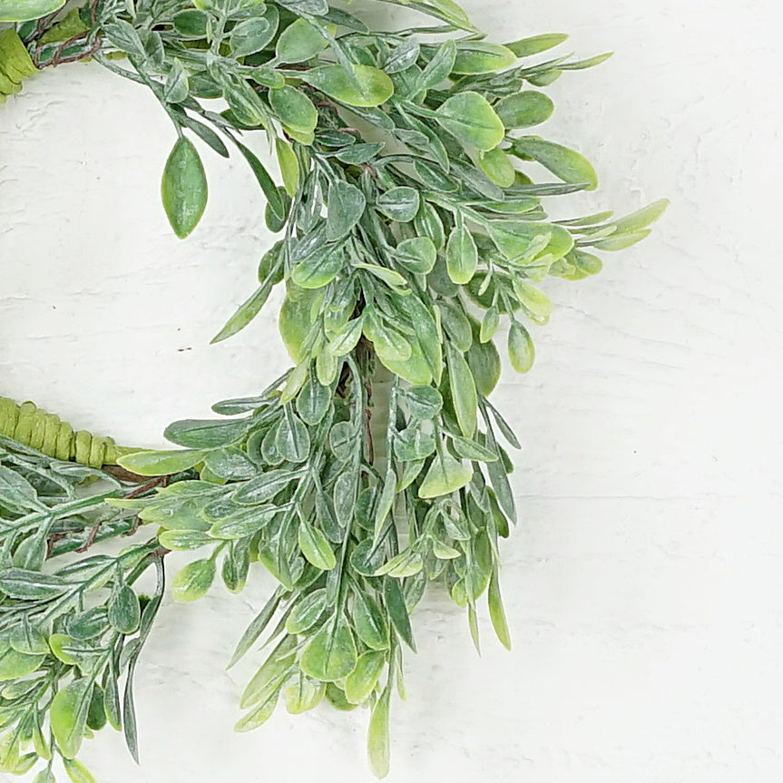 Flocked Boxwood Leaf Candle Ring Wreath (3.5" center)