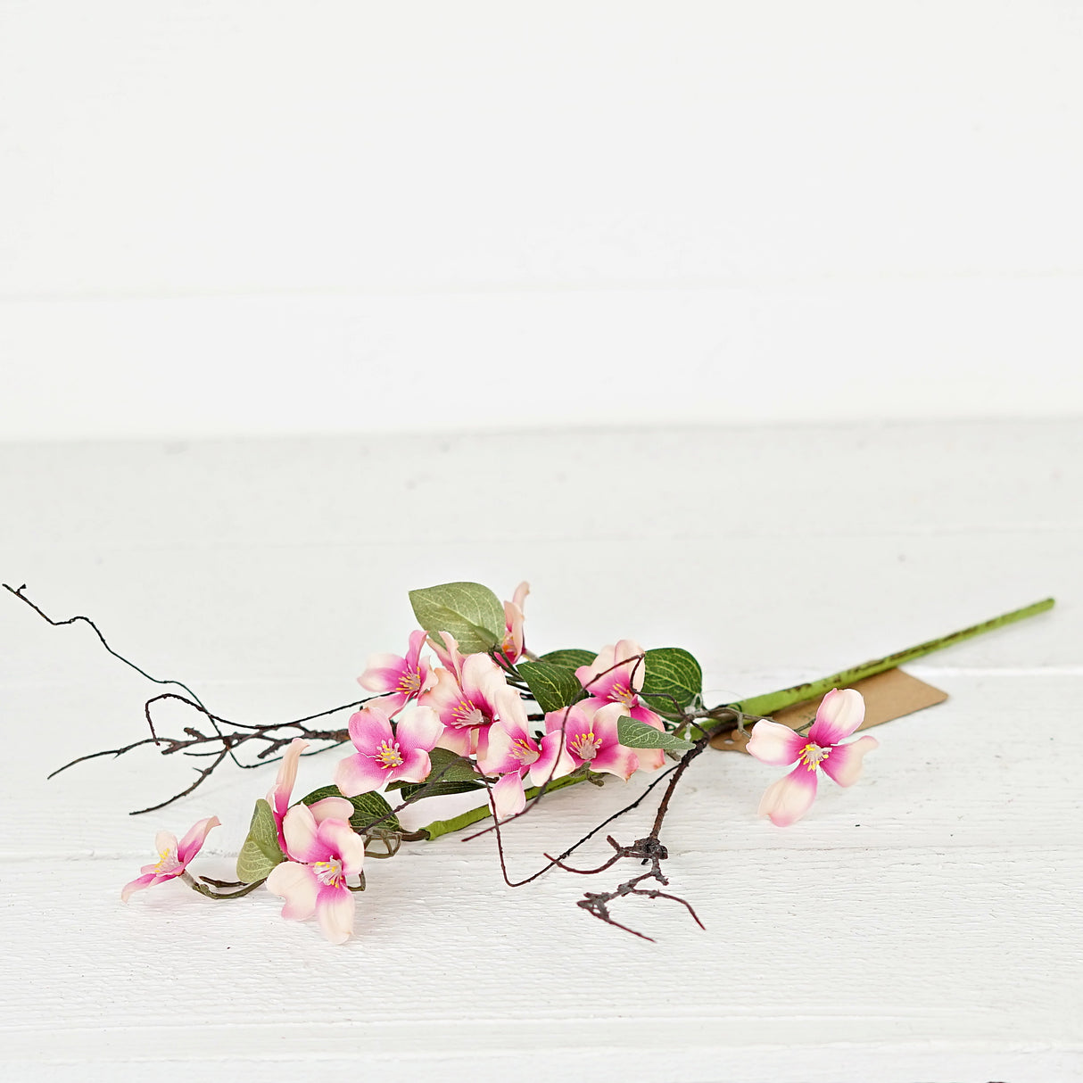 Pink Dogwood with Twigs (16")