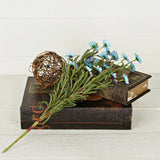 Blue Mini Mountain Daisy Bush (18")