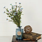 Blue Mini Mountain Daisy Bush (18")