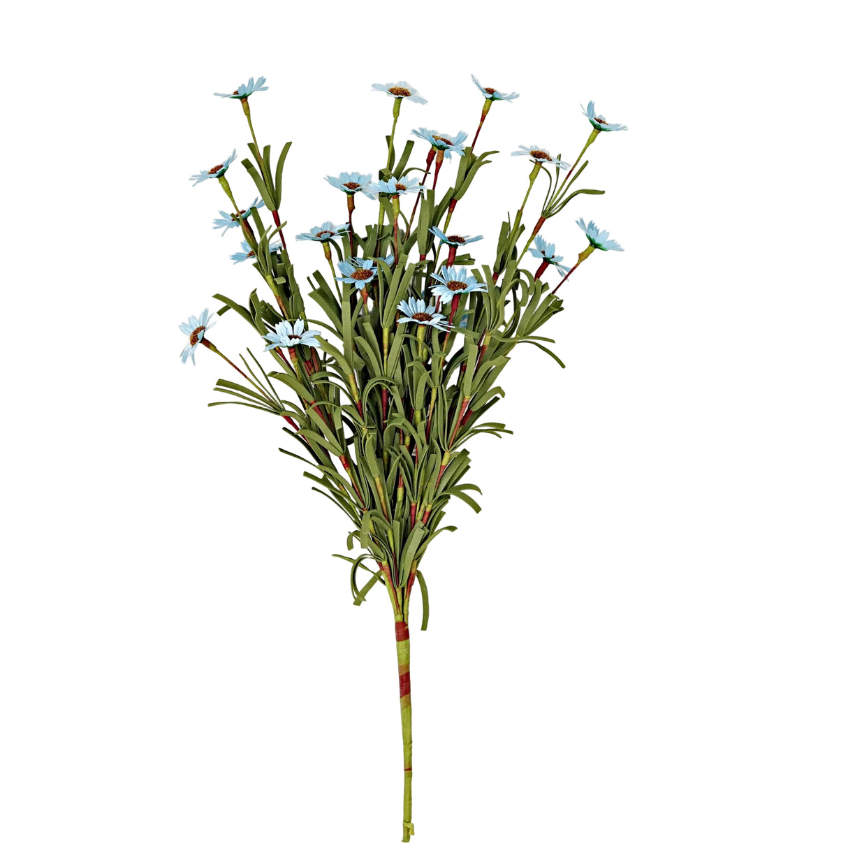 Blue Mini Mountain Daisy Bush (18")
