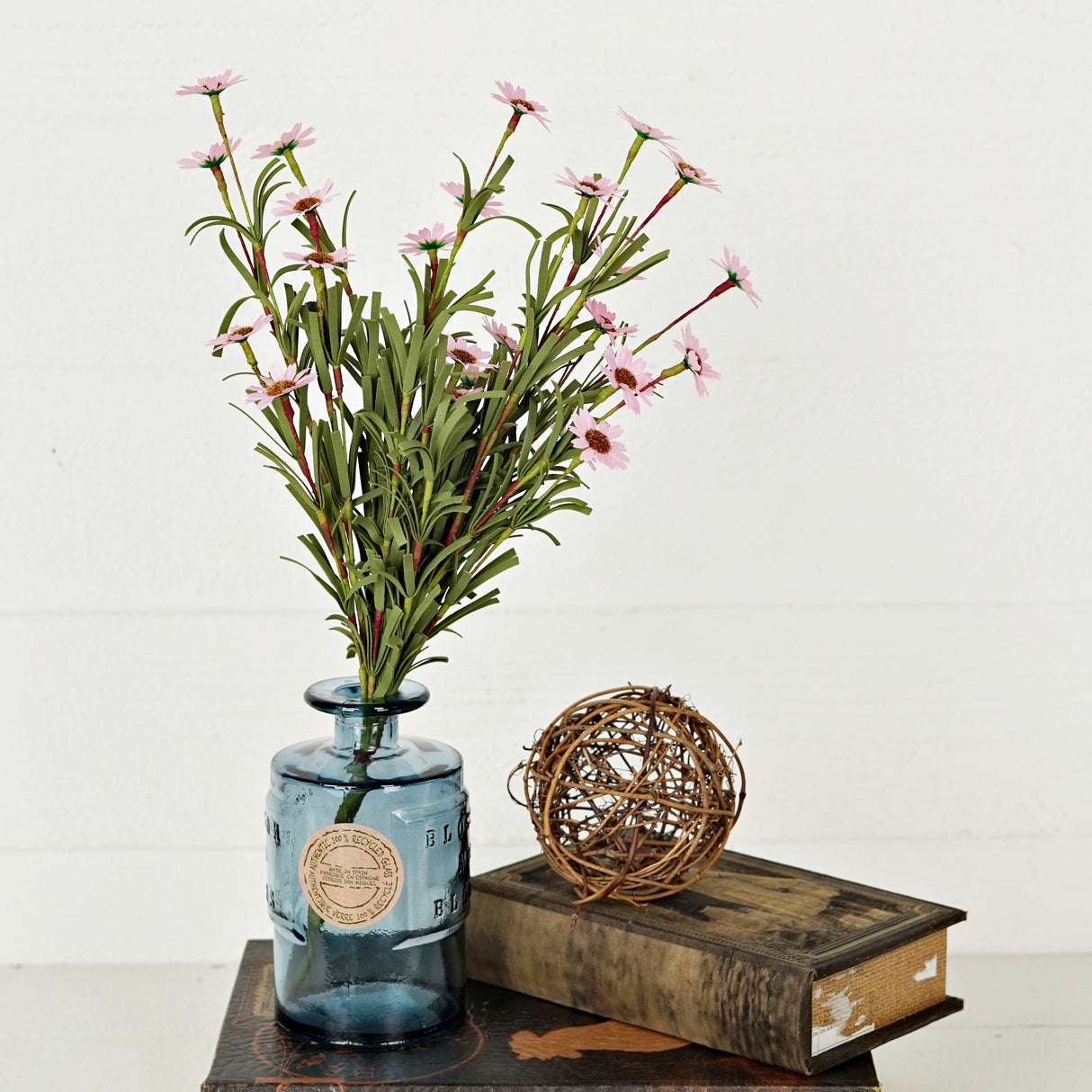 Pink Mini Mountain Daisy Bush (18")