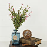 Pink Mini Mountain Daisy Bush (18")